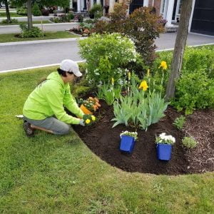 Landscaping Companies Mississauga - Cedar Grounds
