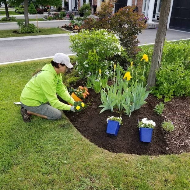 Landscaping Companies Mississauga - Cedar Grounds