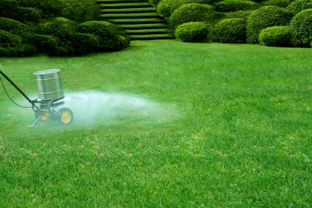 What You Need To Know About Lawn Care Fertilizer-Cedar Grounds