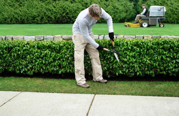 Discovering the Best Landscaping Company in Mississauga, Ontario